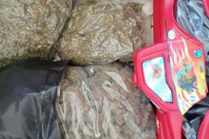 Paquetes de marihuana asegurados por la GN