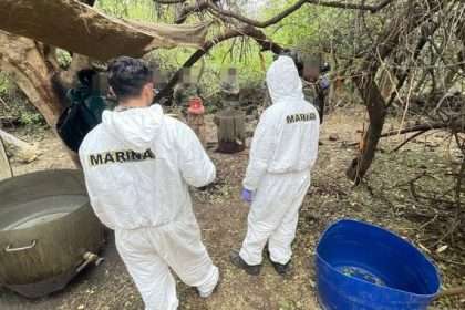 Personal de la Marina participa en operativos contra el crimen organizado en apoyo a la FGR